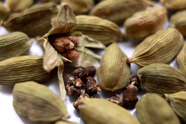 Open cardamom